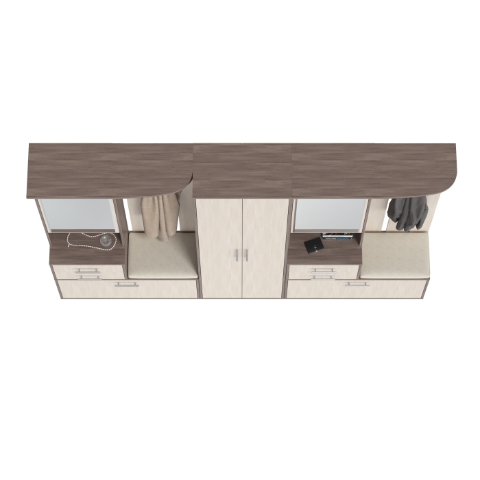 Прихожая Домино 3, цвет бодега тёмный/бодега светлый, ШхГхВ 260х36х202 см., универсальная сборка