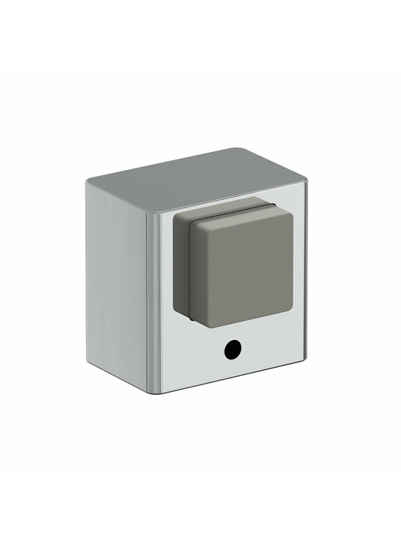 DS-1 C Хром