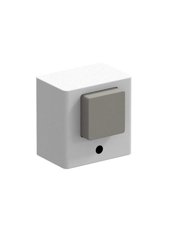 DS-1 W Белый