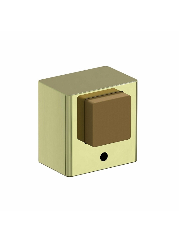 DS-1 G Золото