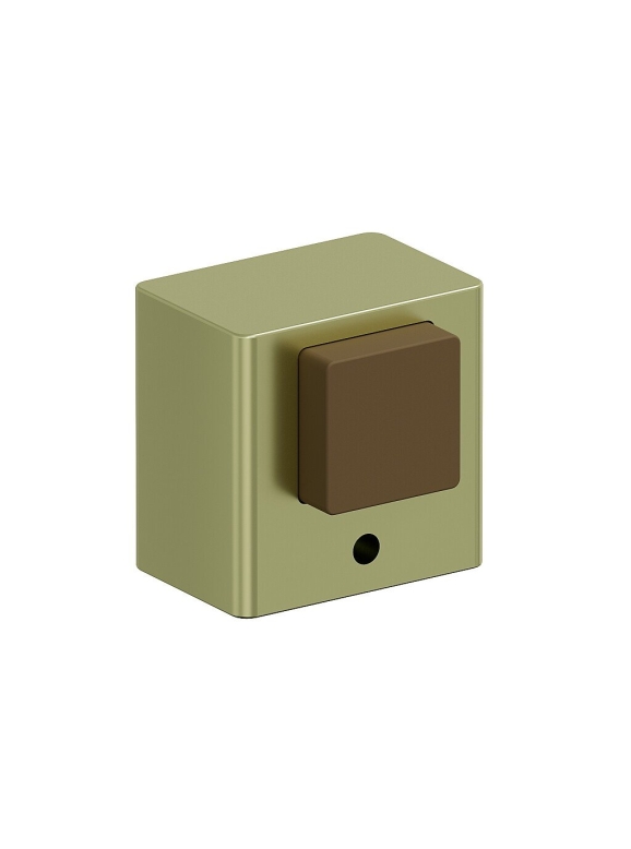 DS-1 SG МатЗолото