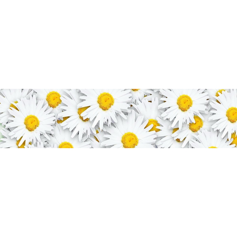 Фартук для кухни «Ромашки»