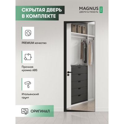 Скрытая дверь Invisible REVERS с зеркалом