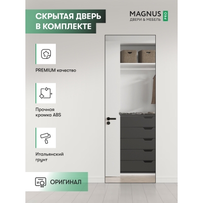 Скрытая дверь Invisible с зеркалом