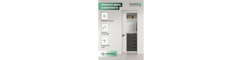 Скрытая дверь Invisible с зеркалом