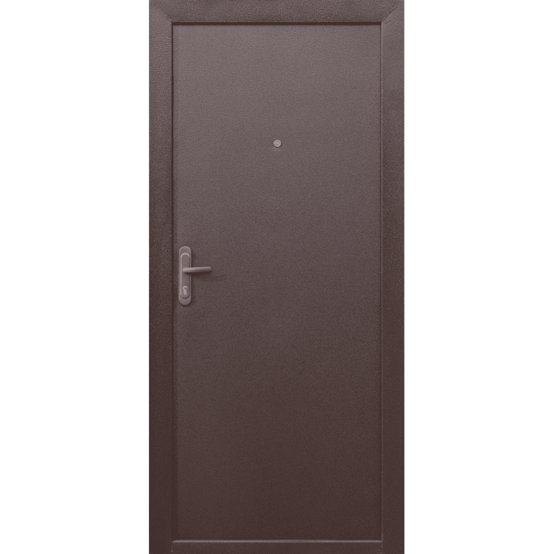 Металлическая техническая дверь Прораб 5 Металл/металл