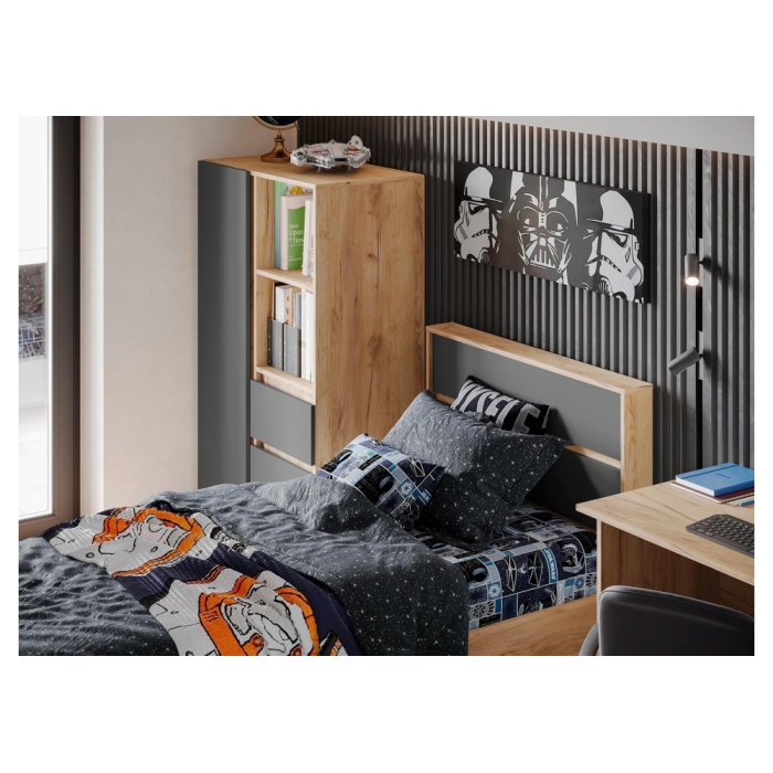 Комплект детской мебели Элла серый графит 0162 / дуб крафт золото комплектация 1