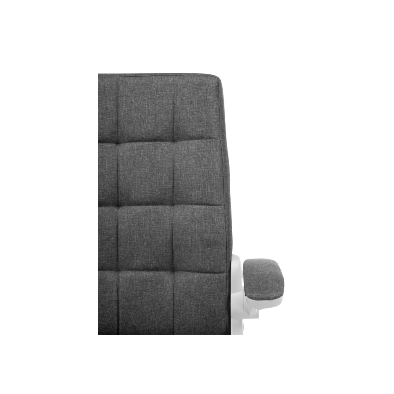 Компьютерное кресло Elga gray / white