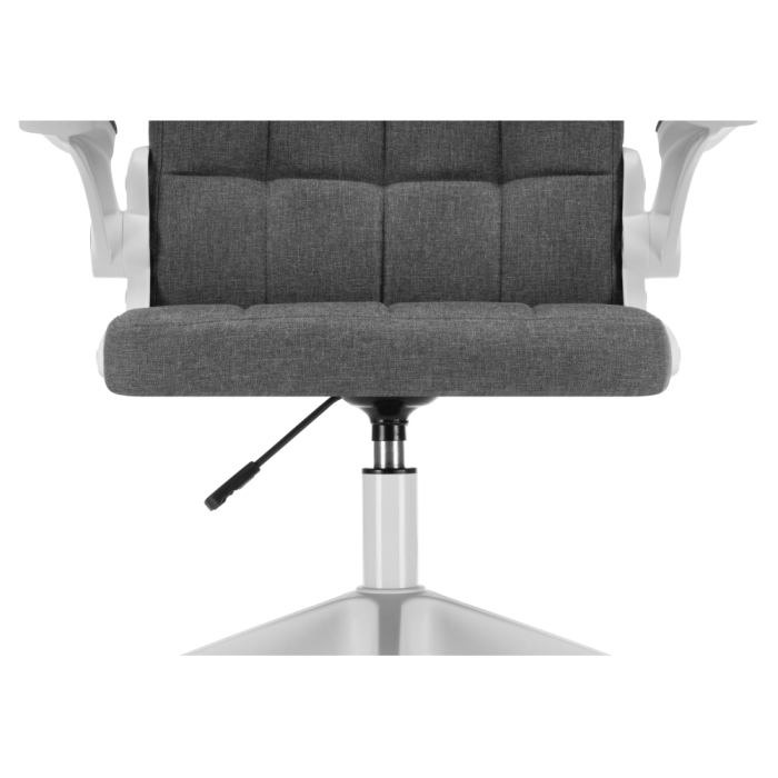 Компьютерное кресло Elga gray / white