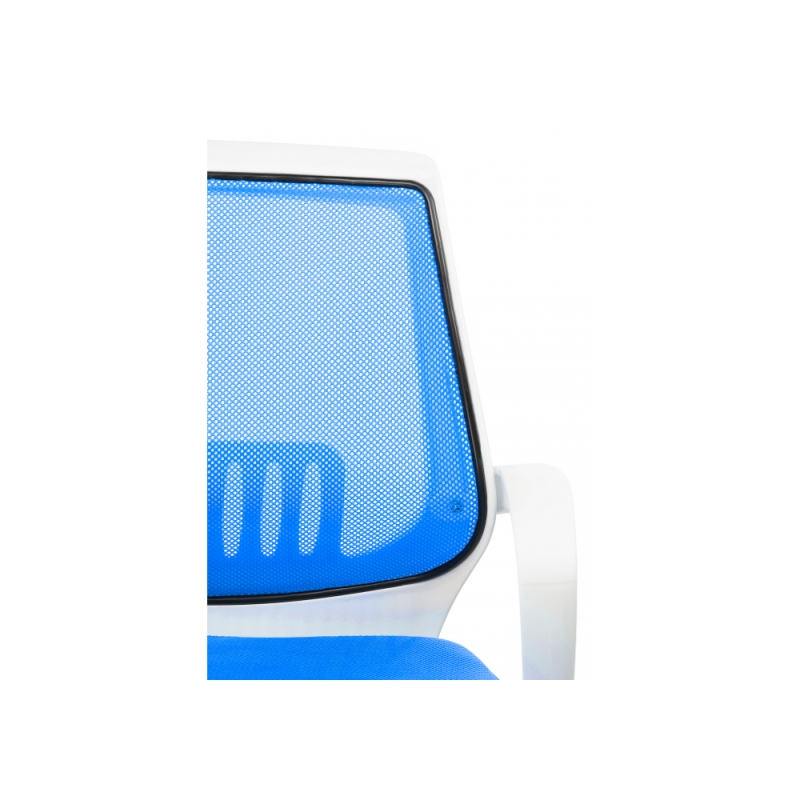 Компьютерное кресло Ergoplus белое / голубое