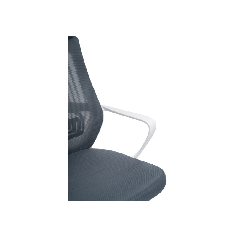 Компьютерное кресло Golem dark gray / white