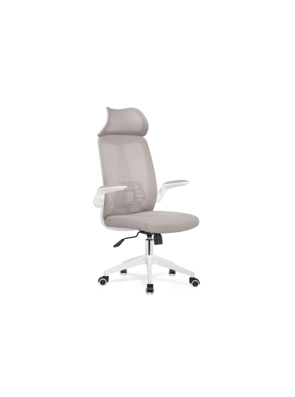 Компьютерное кресло Lokus light gray