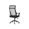 Компьютерное кресло Rino black / light gray