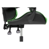 Компьютерное кресло Rodas black / green