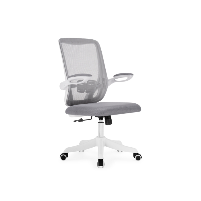 Компьютерное кресло Salem gray / white