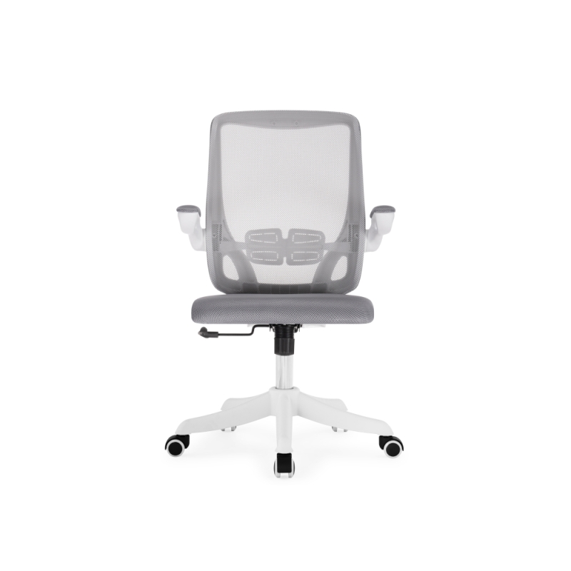 Компьютерное кресло Salem gray / white