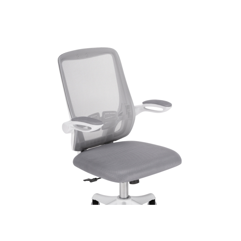 Компьютерное кресло Salem gray / white