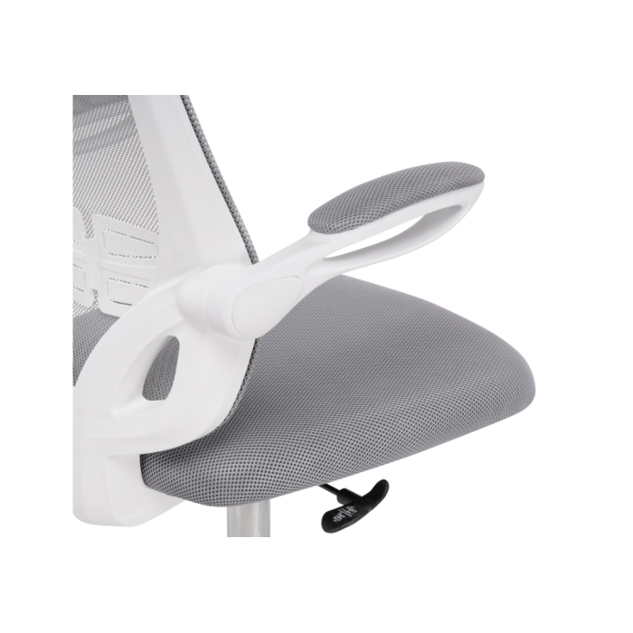 Компьютерное кресло Salem gray / white