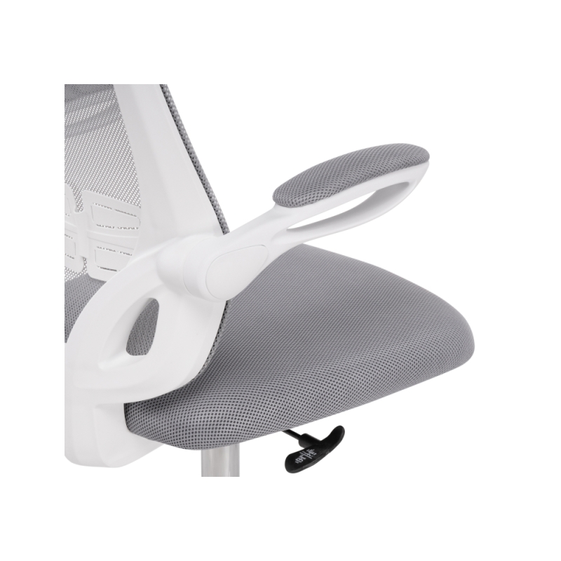 Компьютерное кресло Salem gray / white