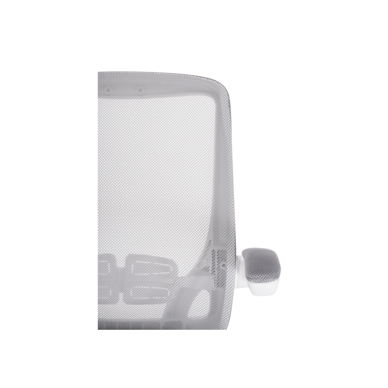 Компьютерное кресло Salem gray / white