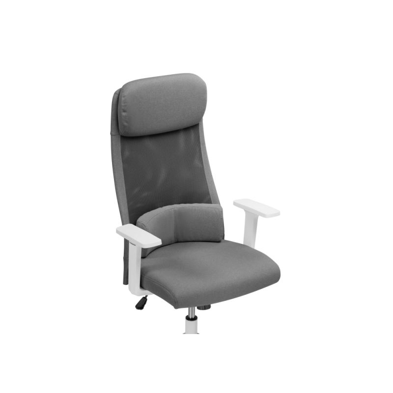 Компьютерное кресло Salta gray / white