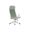 Компьютерное кресло Salta light green / white