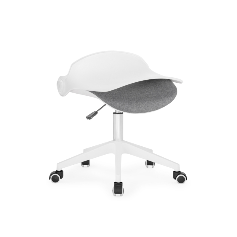 Компьютерное кресло Zarius gray / white