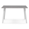 Стол Тринити Лофт 120х80х75 25 мм бетон / белый матовый