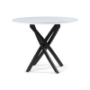Стеклянный стол Лауриц 100х77 черный / белый