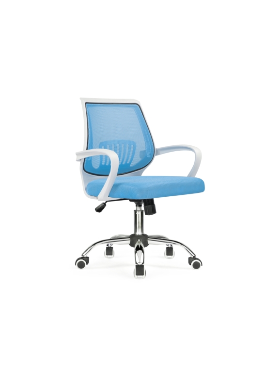 Компьютерное кресло Ergoplus blue / white