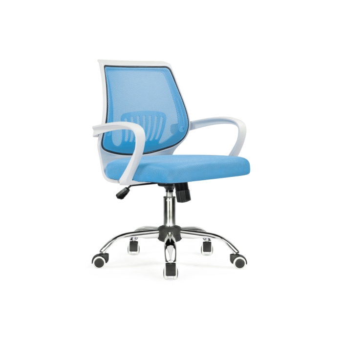 Компьютерное кресло Ergoplus blue / white
