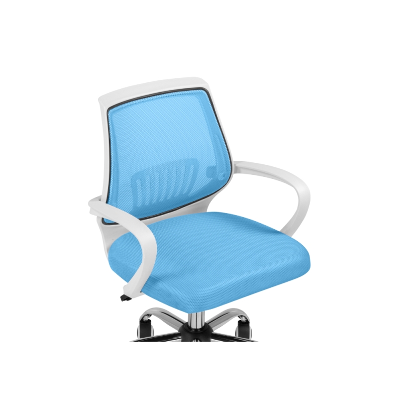 Компьютерное кресло Ergoplus blue / white