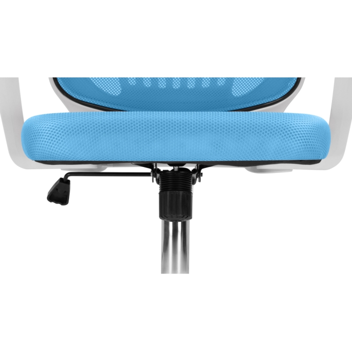 Компьютерное кресло Ergoplus blue / white