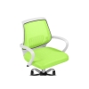 Компьютерное кресло Ergoplus green / white