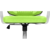 Компьютерное кресло Ergoplus green / white