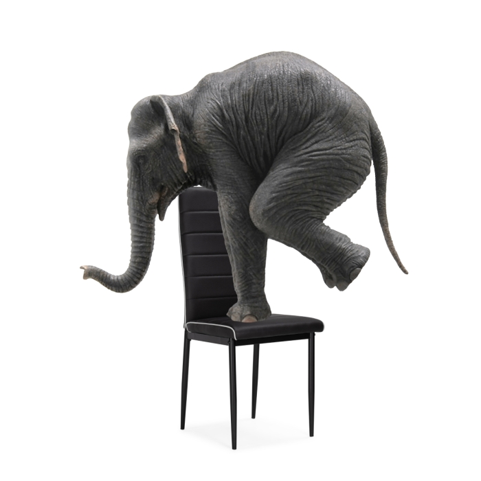 Стул на металлокаркасе DC2-001 black / white