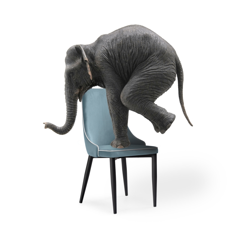 Стул на металлокаркасе Kora 1 light blue / white / black