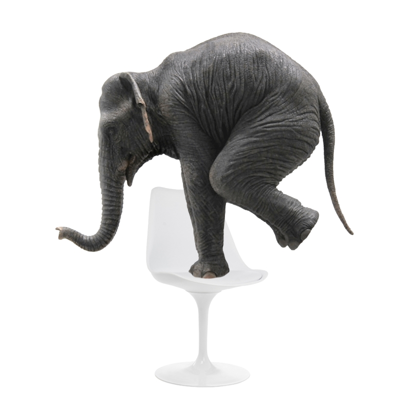 Стул Tulip white / white