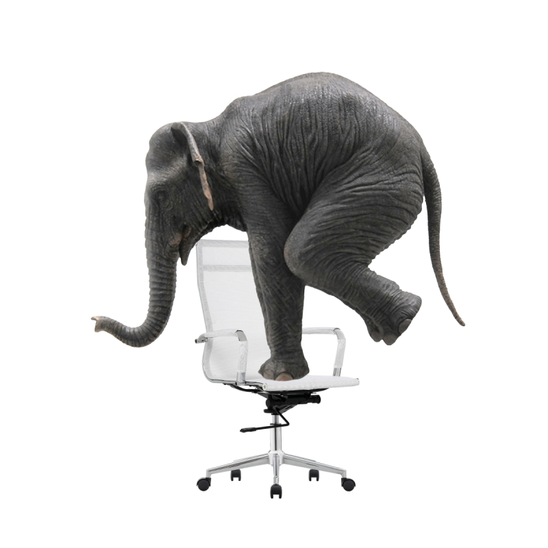 Компьютерное кресло Reus сетка white