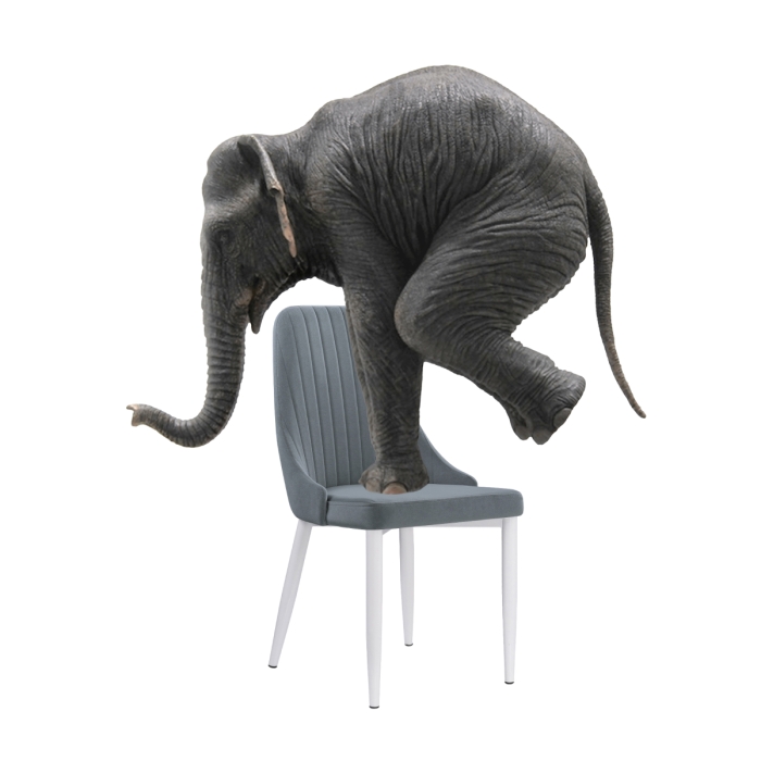 Стул на металлокаркасе Kora white / gray