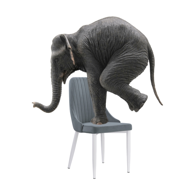 Стул на металлокаркасе Kora white / gray