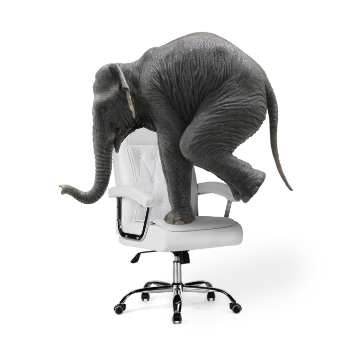 Компьютерное кресло Class white