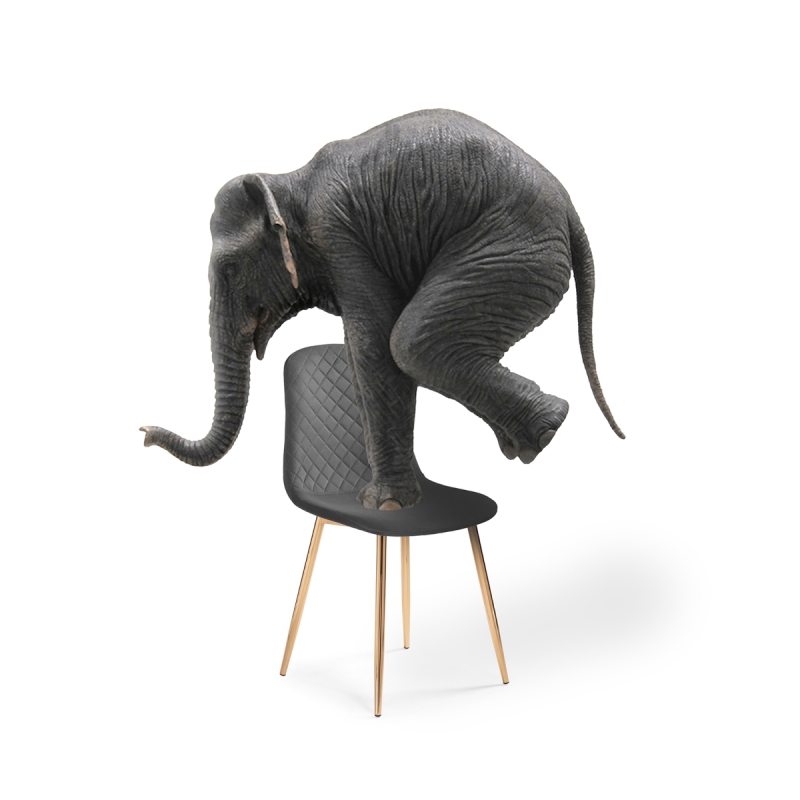 Стул на металлокаркасе Dabl dark gray / gold