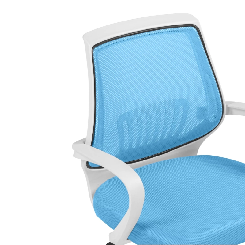 Компьютерное кресло Ergoplus blue / white