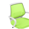 Компьютерное кресло Ergoplus green / white