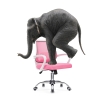 Компьютерное кресло Ergoplus pink / white