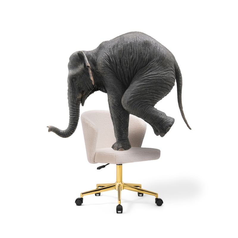 Компьютерное кресло Lika white teddy