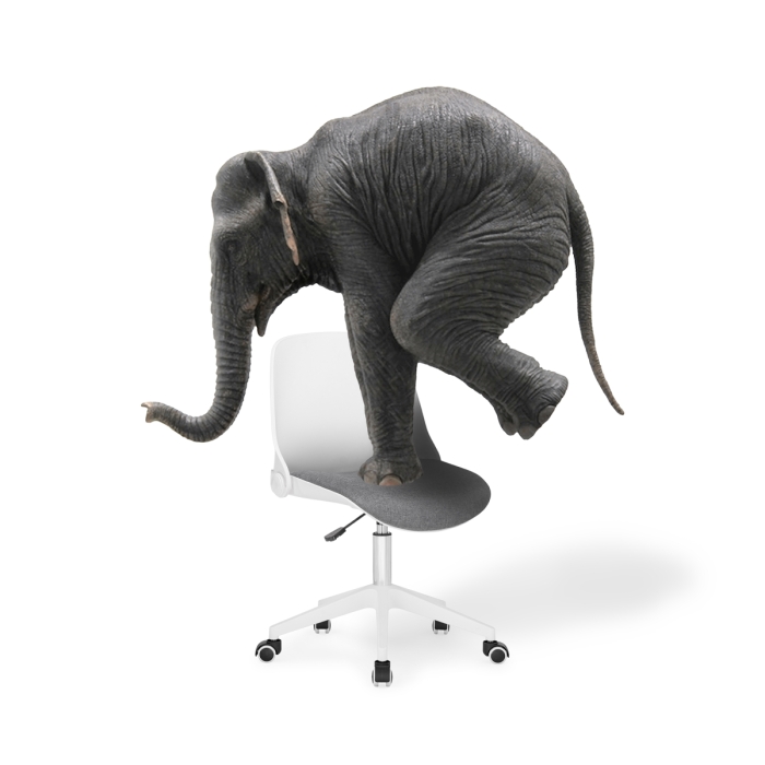 Компьютерное кресло Zarius gray / white