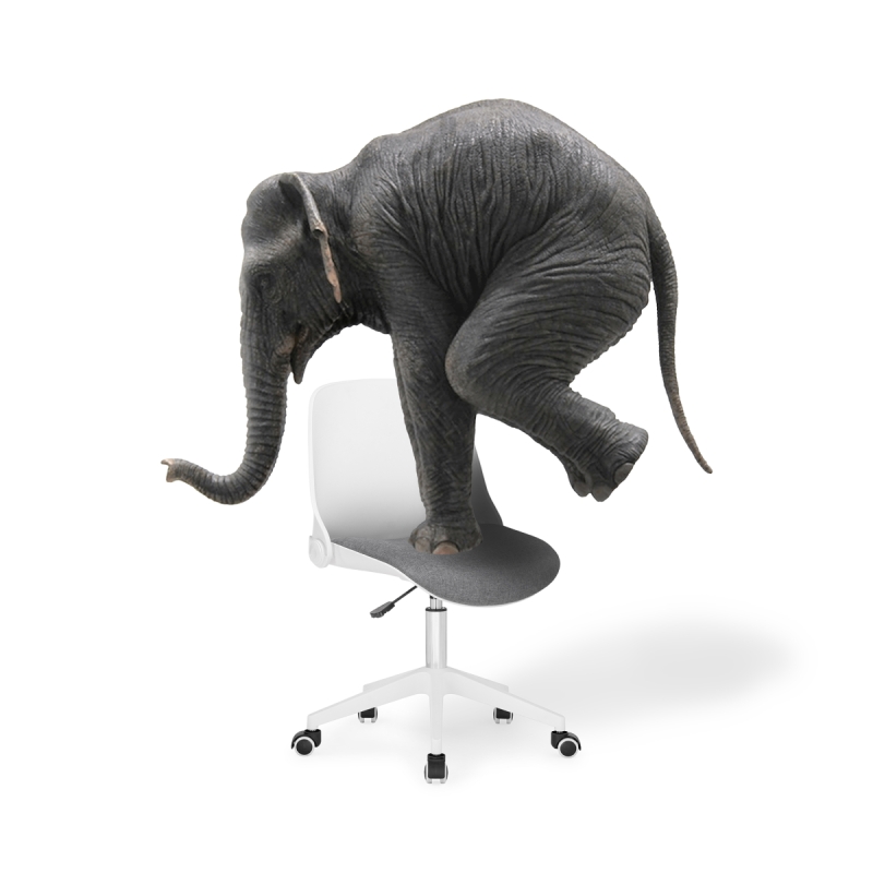 Компьютерное кресло Zarius gray / white