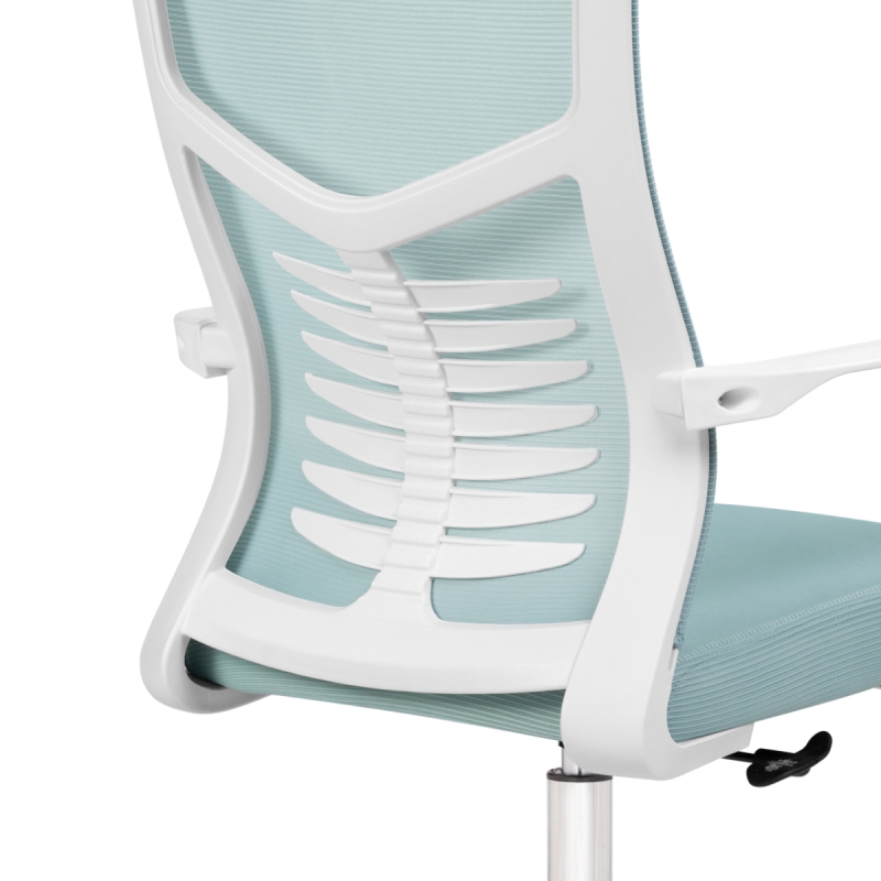 Компьютерное кресло Montana blue / white